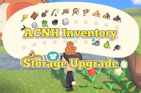 acnh home storage expansion.